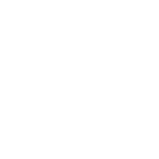 中央美术学院logo